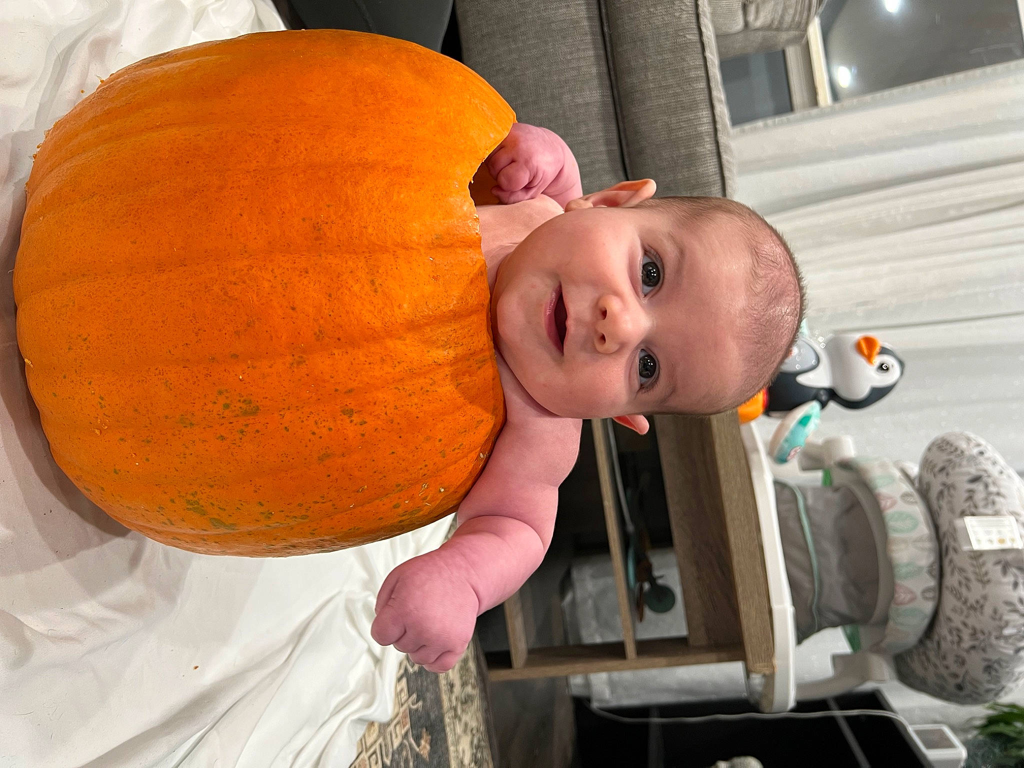 Colin is registered to the contest to win money with this photo: baby, calabaza, child, cucurbita, facial_expression, food, gourd, happy, mouth, natural_foods, orange, person, plant, produce, pumpkin, smile, squash, toddler, vegetable, winter_squash