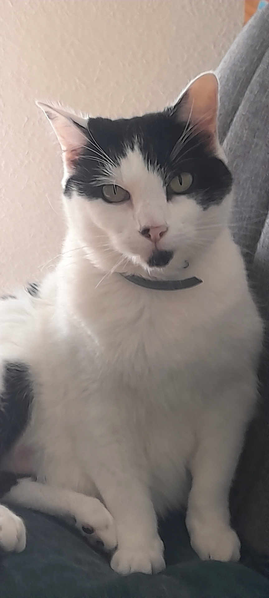 Axel