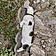 Bounty