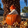autumn_leaves, baby, background, child, clothing, cute, daylight, fall, garden, hat, nature, orange_hat, outdoor, pebbles, person, pumpkin, seasonal, sitting, sunlight, tree_trunk