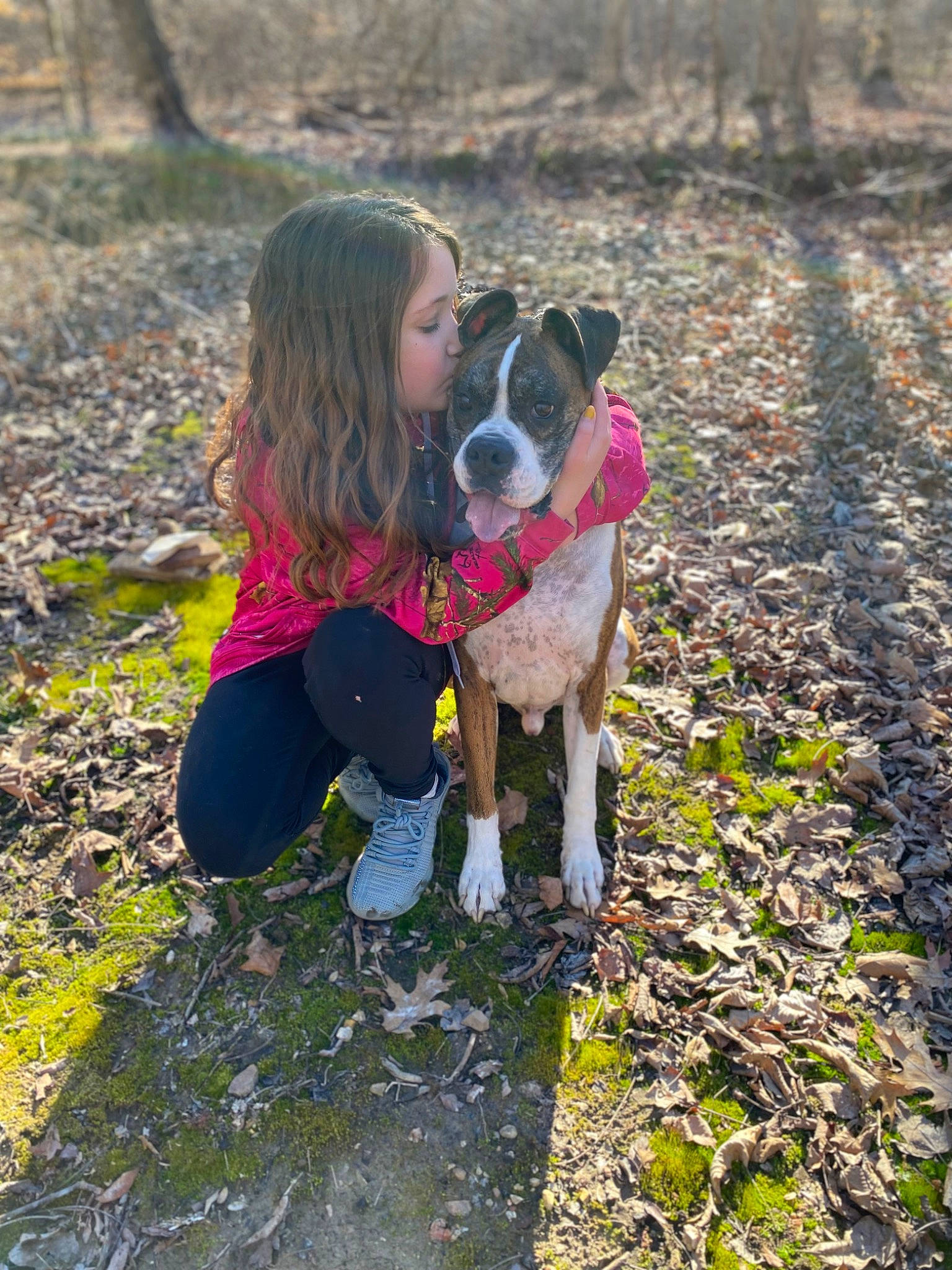 Raygan joined the competition — help win amazing prizes! canidae, carnivore, companion_dog, dog, dog_breed, dog_walking, fawn, grass, happy, leash, leisure, people_in_nature, person, plant, soil, sporting_group, tail, tree, walking, working_animal