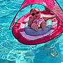 baby, pool, float, sunglasses, water, pink, canopy, child, summer, relaxing, sunshine, infant, swimming_pool, leisure, cute, vacation, floating, outdoor, person, fun