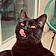 Cleo
