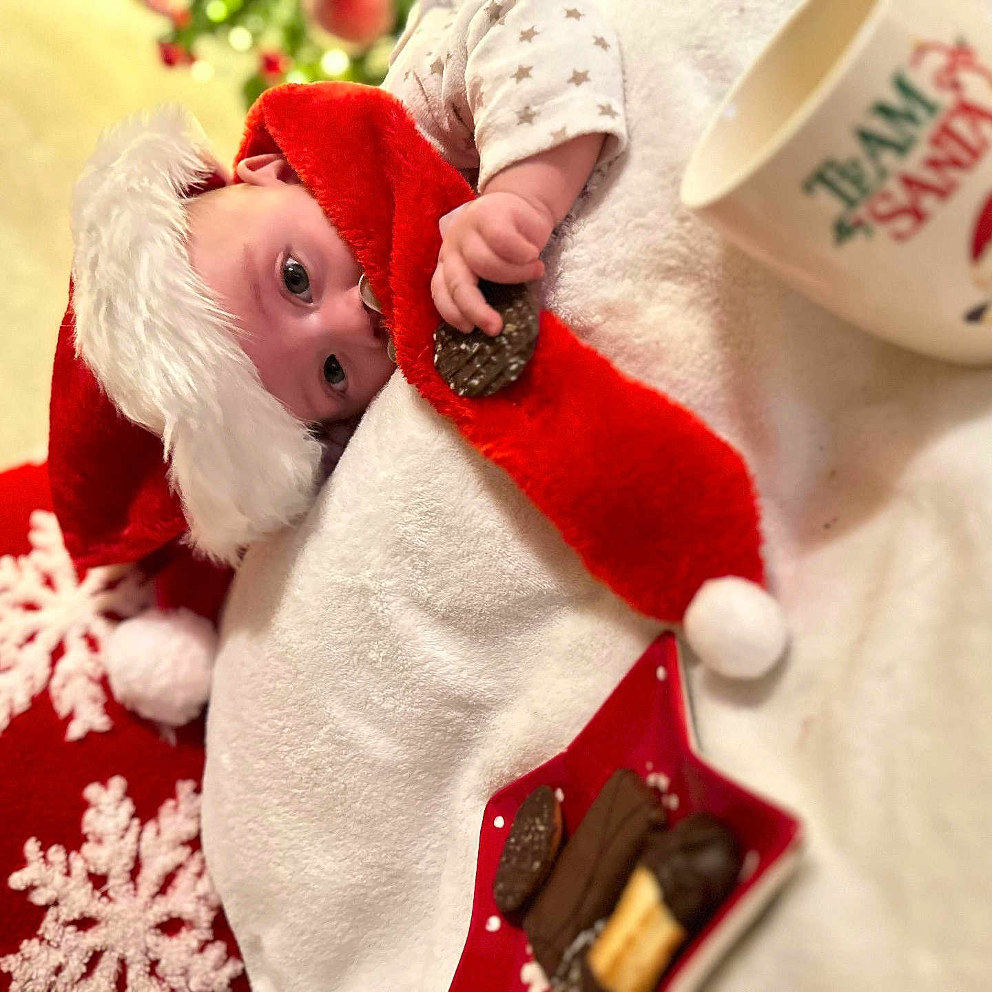 Maylon a rejoint le concours — aidez-le/la à gagner de superbes lots ! baby, beverage, blanket, christmas, christmasdecorations, christmastree, coffee, coffeecup, cup, doll, elf, face, festival, head, person, santaclaus, toy