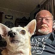 Kellz is registered to the contest to win money with this photo: beard, brown_eyes, casual_clothing, close_up, curtain, dog, ear, expression, face, furniture, glasses, home, indoor, man, pet, portrait, relaxed, seated, selfie, wall_decor