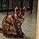 Bastet
