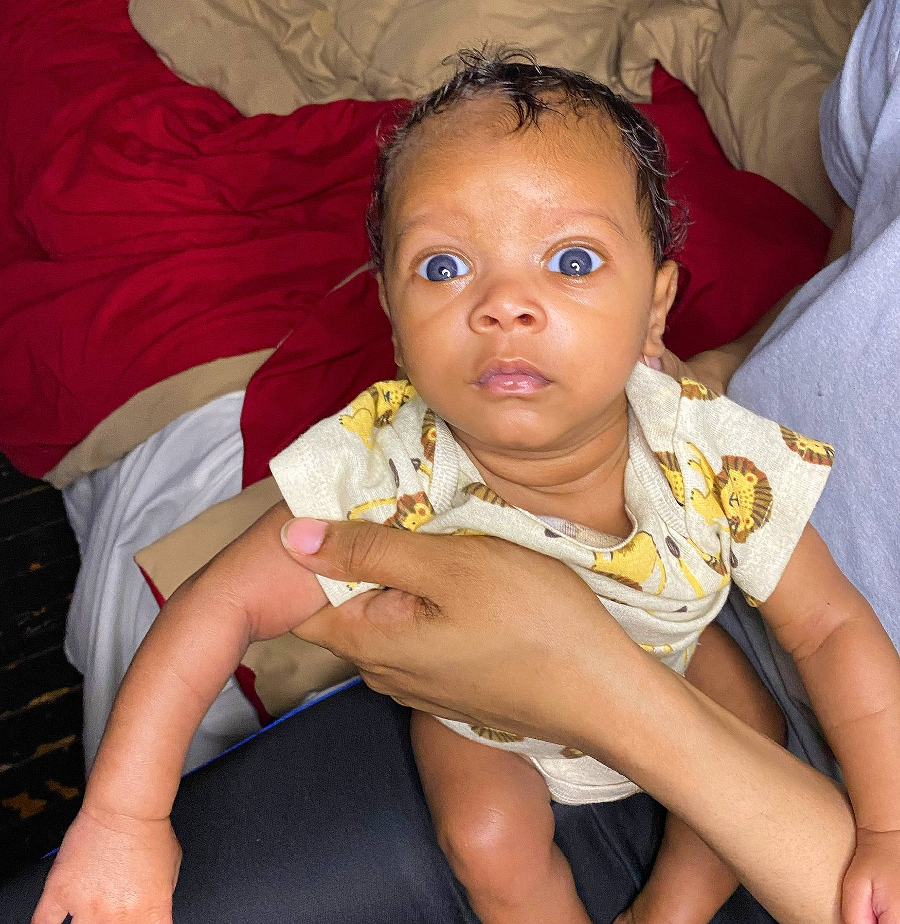 Mazakai joined the competition — help win amazing prizes! arm, baby, baby_toddler_clothing, cheek, chin, comfort, ear, eye, face, finger, head, human_body, iris, leg, lip, mouth, neck, nose, person, skin