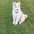 Samantha E.
