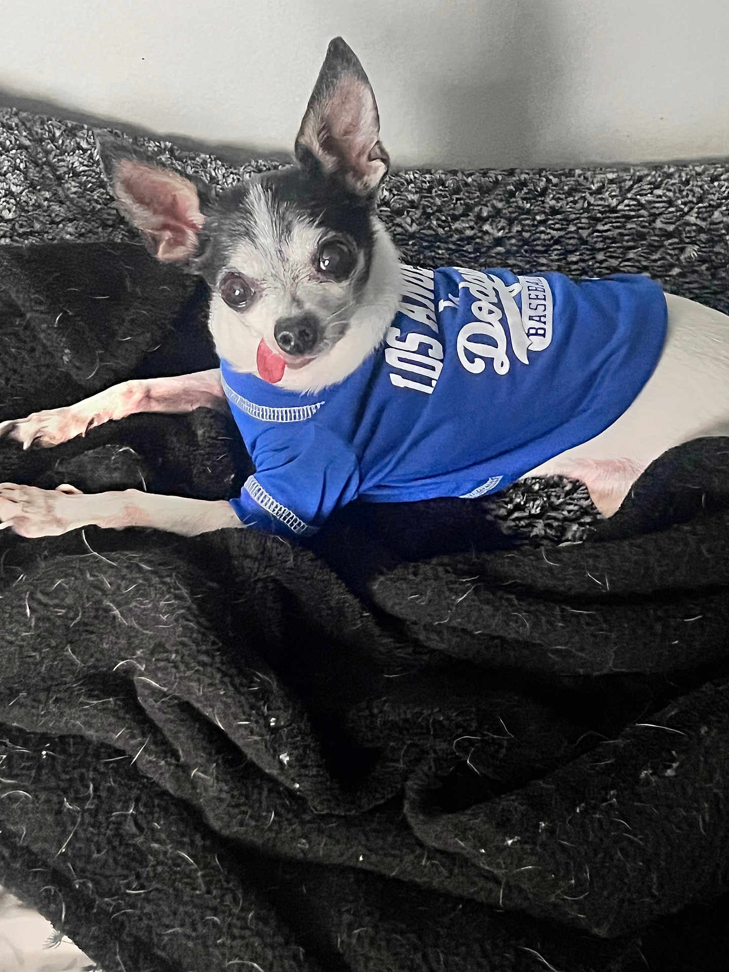 Chulo