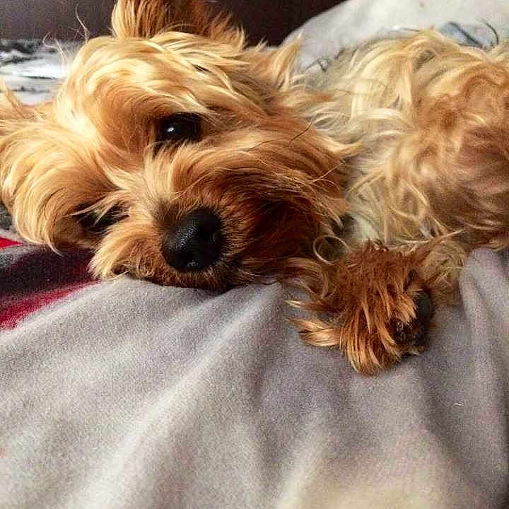 Dylan is registered to the contest to win money with this photo: