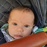 Salomon participe au concours pour gagner de l'argent avec cette photo : baby, face, eyes, stroller, cushion, leather, toy, clothing, infant, closeup, child, portrait, young, cute, skin, head, expression, fabric, seat, baby_toy