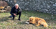Haka a rejoint le concours — aidez-le/la à gagner de superbes lots ! animal, bone, casual_clothing, chewing, crouching, daylight, dog, fluffy_dog, grass, hill, man, mountain, nature, old_man, outdoor, pet, rock, rural, sky, stone_wall