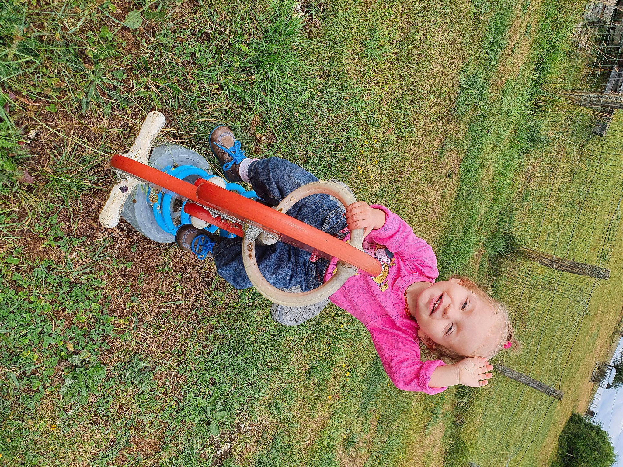 Valentine participe au concours pour gagner de l'argent avec cette photo : fun, grass, grass_family, grassland, happy, joy, landscape, lawn, leisure, natural_environment, people_in_nature, person, plant, play, recreation, smile, soil, tire, toddler, tree