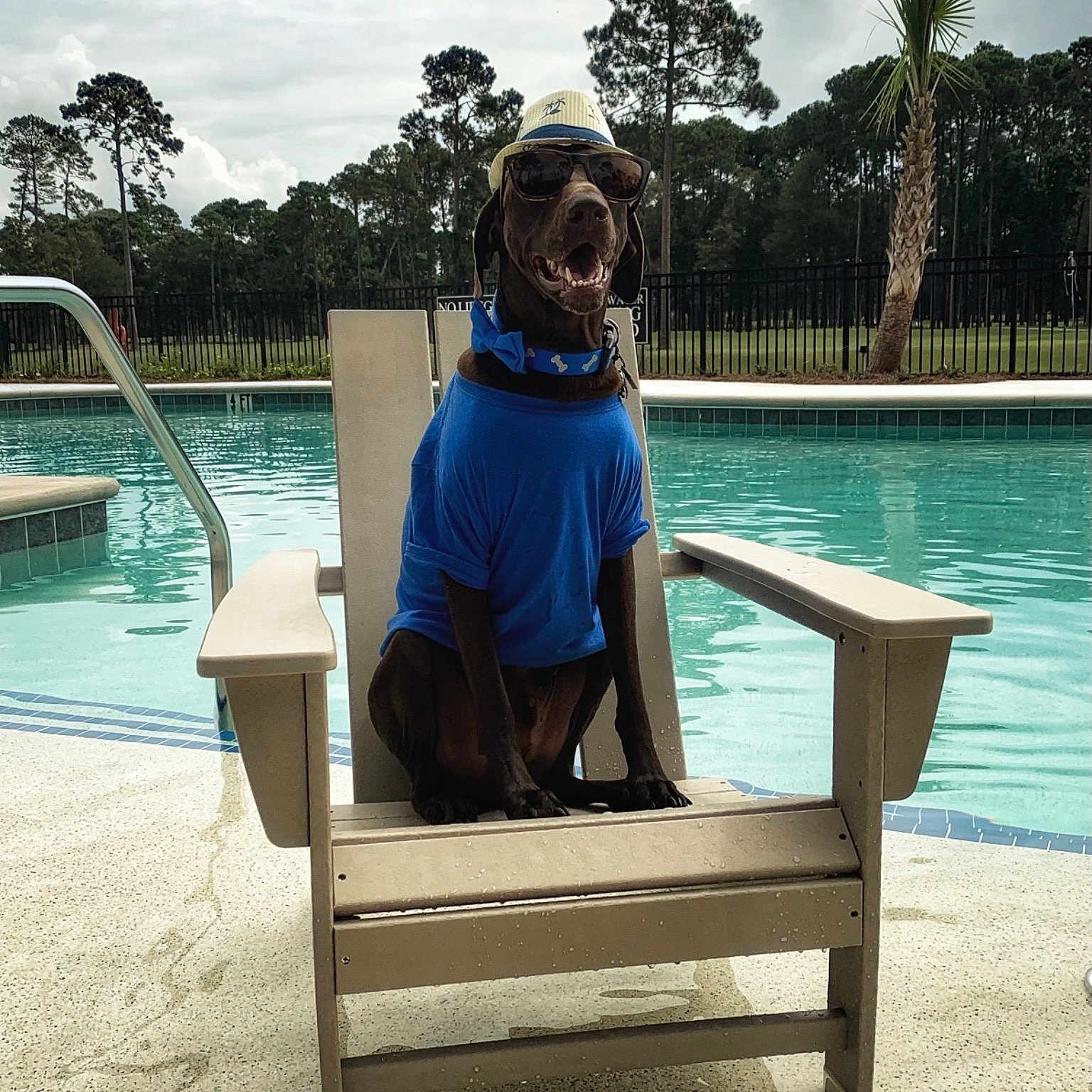 Rommel is registered to the contest to win money with this photo: cloud, comfort, eyewear, fun, furniture, goggles, grass, leg, leisure, outdoor_bench, outdoor_furniture, plant, recreation, sky, sunglasses, sunlounger, swimming_pool, travel, tree, water