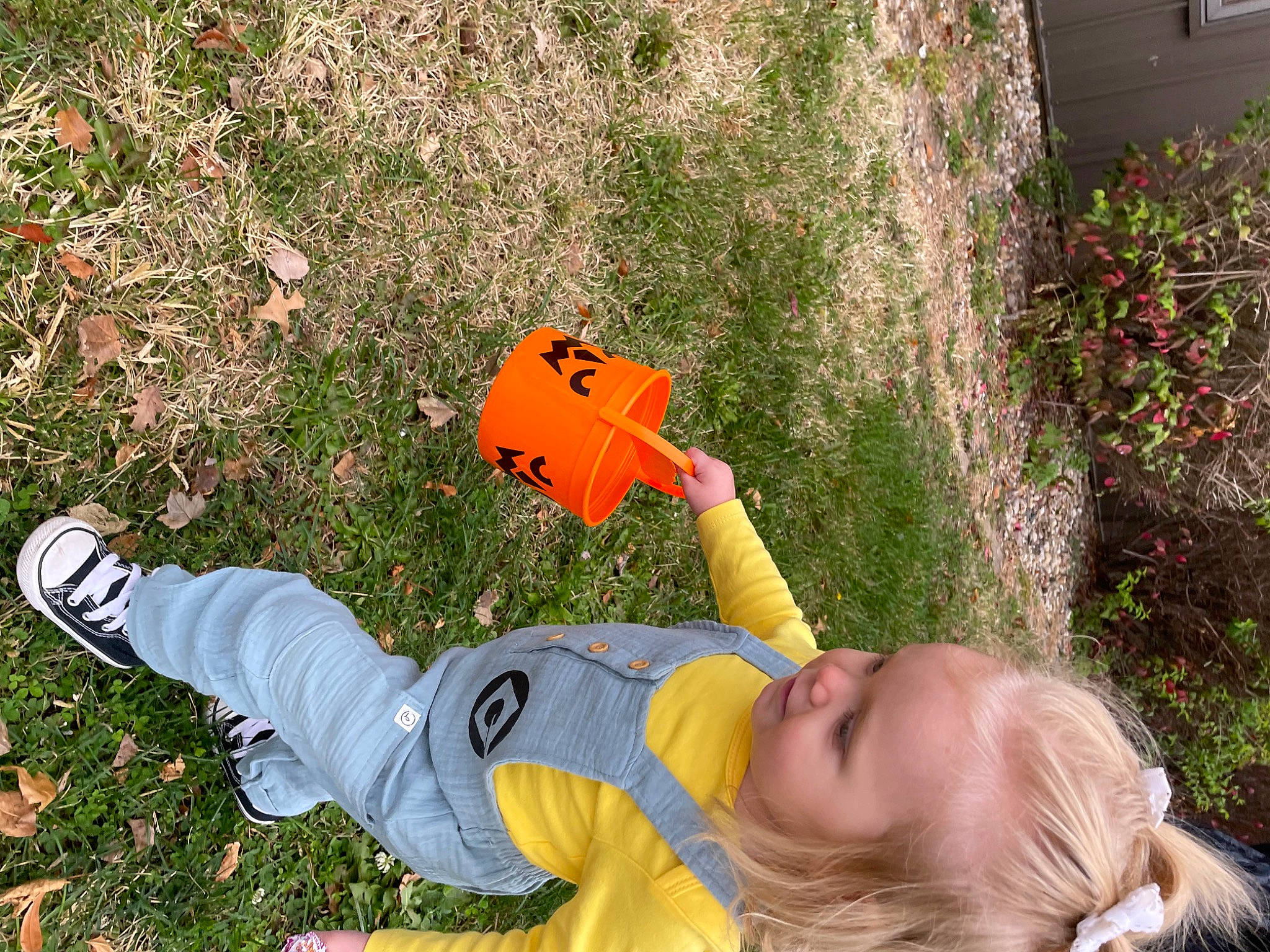Iris is registered to the contest to win money with this photo: baby, baby_toddler_clothing, child, fun, grass, happy, lawn_ornament, leaf, leisure, orange, people_in_nature, person, photograph, plant, pumpkin, recreation, sitting, soil, toddler, yard