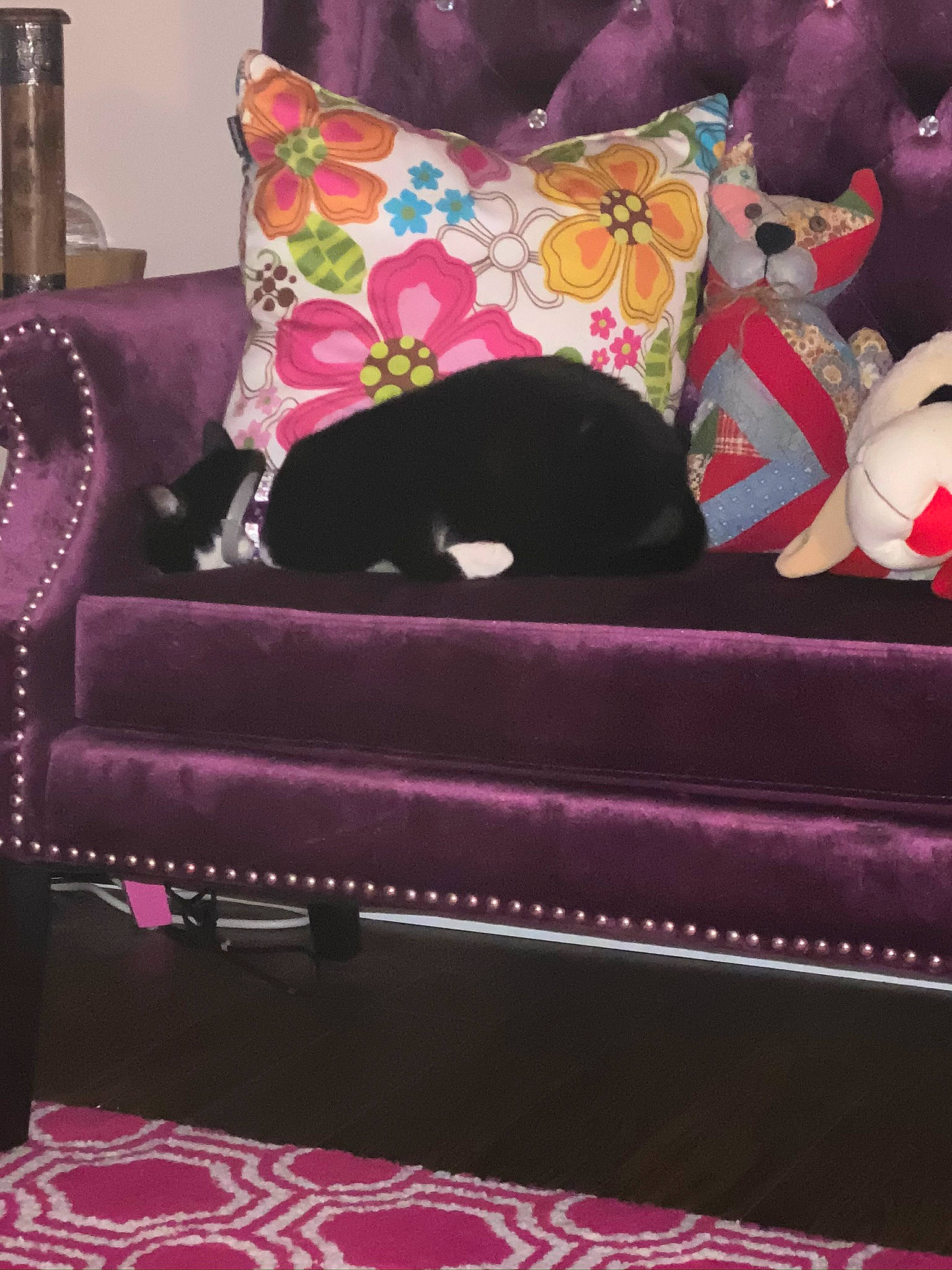 Jipsee is registered to the contest to win money with this photo: chair, couch, cushion, furniture, interior_design, magenta, pattern, pink, purple, room, slipcover, textile, velvet