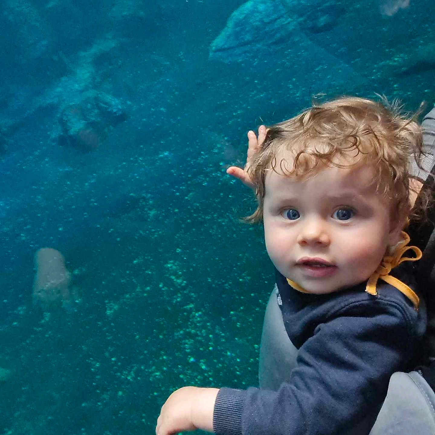 Noa participe au concours pour gagner de l'argent avec cette photo : animal, aquarium, aquatic, baby, face, fish, head, leisureactivities, nature, outdoors, person, photography, portrait, rock, sea, sealife, sport, swimming, water, watersports