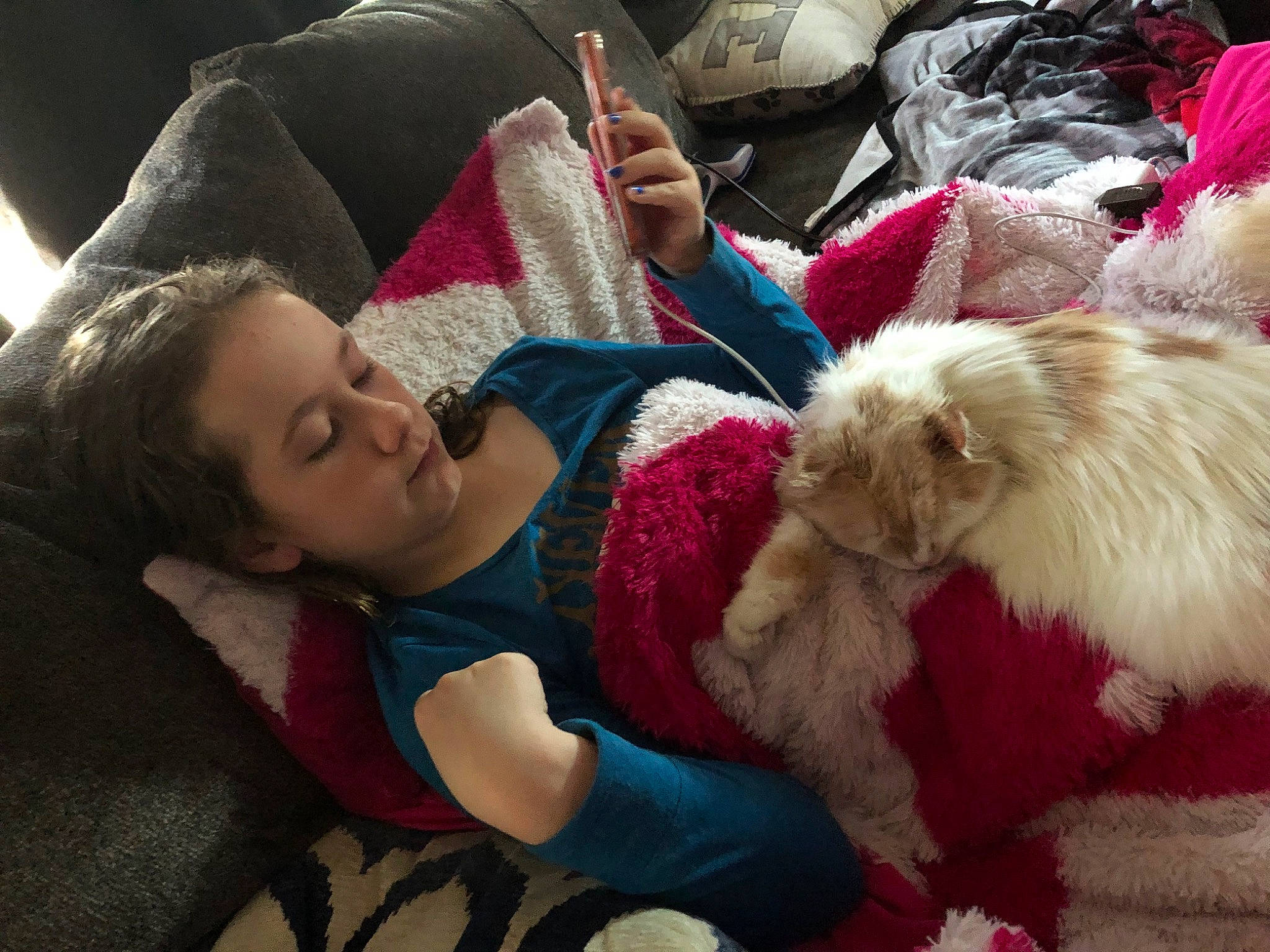 Ripley is registered to the contest to win money with this photo: carnivore, comfort, companion_dog, dog, dog_breed, fawn, felidae, fun, fur, happy, lap, nap, puppy_love, sitting, skin, smile, spitz, textile, thigh, toy_dog