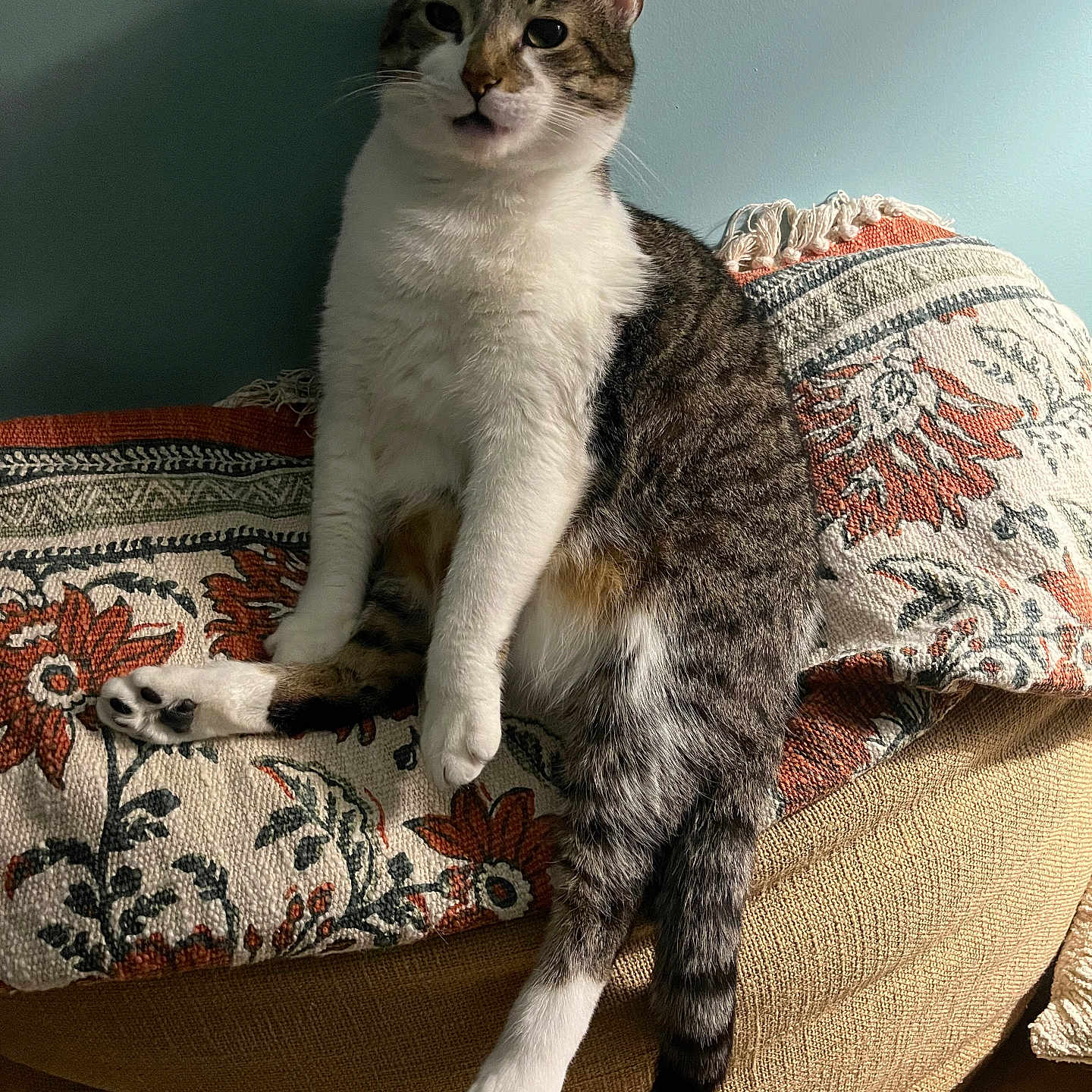 Mortimer