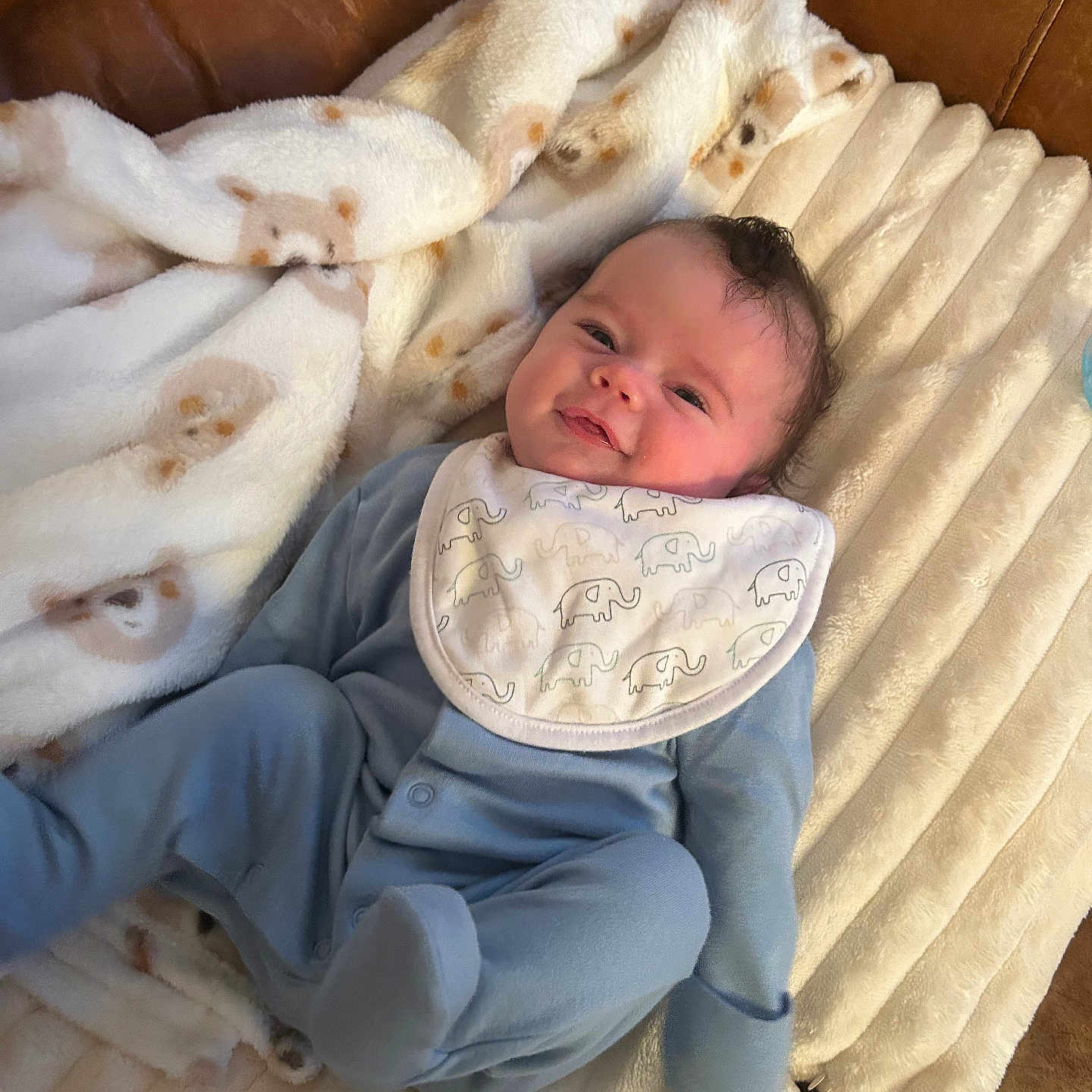 Billy is registered to the contest to win money with this photo: baby, bear_pattern, bib, blanket, blue_onesie, child, couch, cozy, cute, elephant_pattern, face, happy, indoors, infant, lying_down, person, plush_blanket, smile, soft_texture, warm