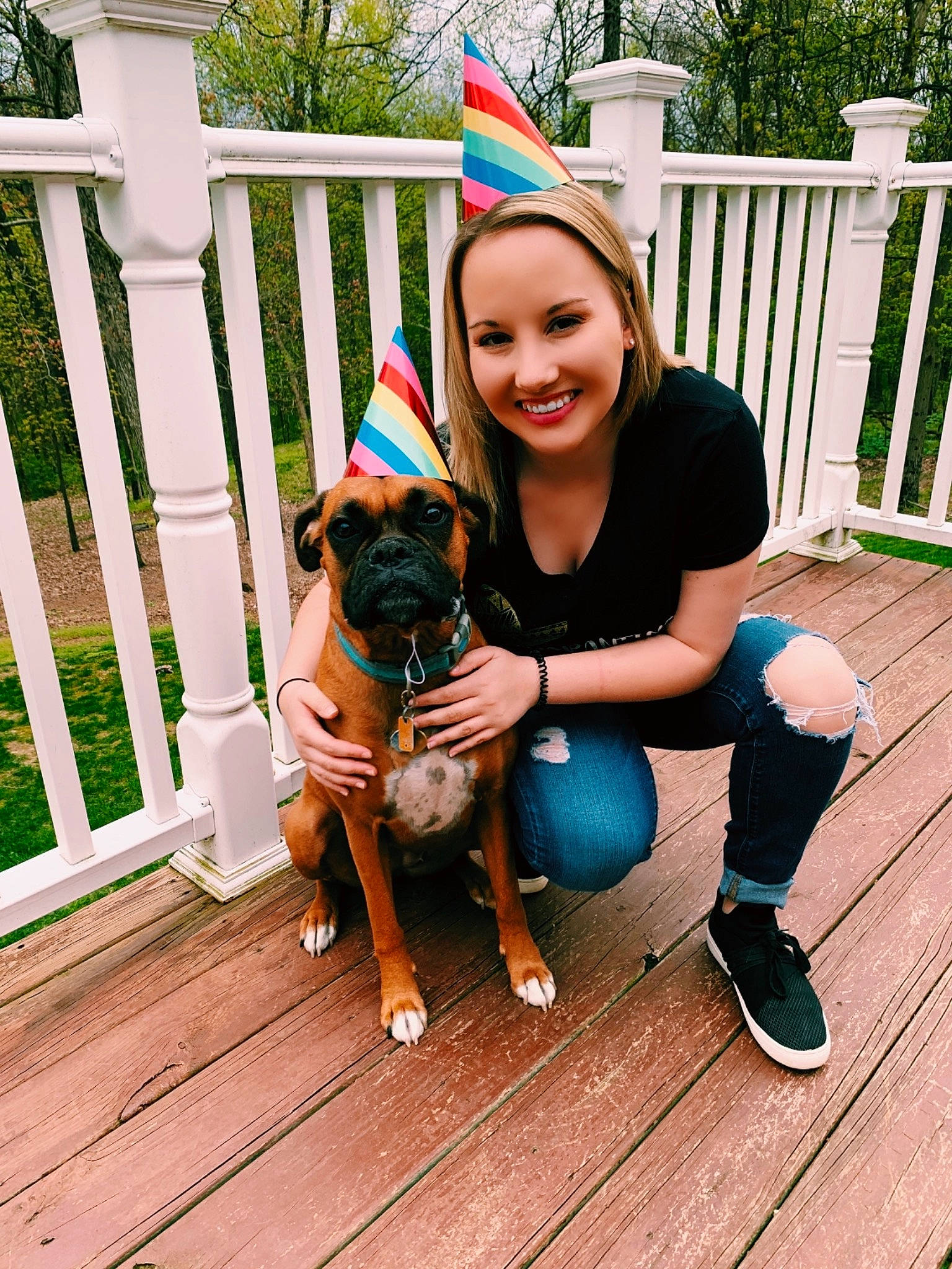 Stella is registered to the contest to win money with this photo: carnivore, companion_dog, dog, dog_breed, fawn, fence, fun, grass, happy, hardwood, leisure, party_hat, plant, porch, smile, sporting_group, t_shirt, thigh, wood, working_animal