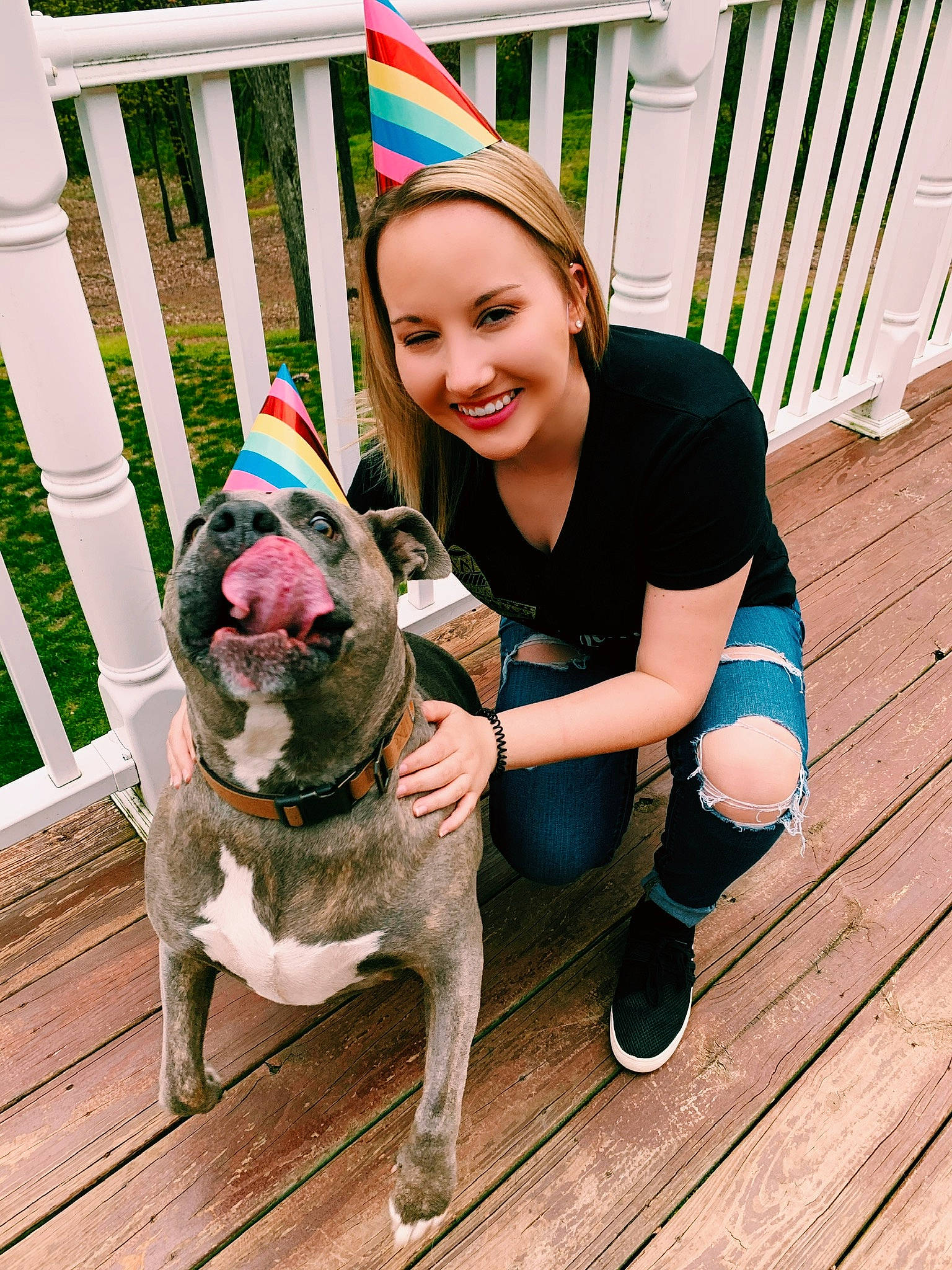 Darla joined the competition — help win amazing prizes! canidae, carnivore, companion_dog, dog, dog_breed, fashion_accessory, fawn, flooring, grass, happy, hardwood, leash, leg, leisure, smile, snout, sporting_group, tail, wood, working_animal