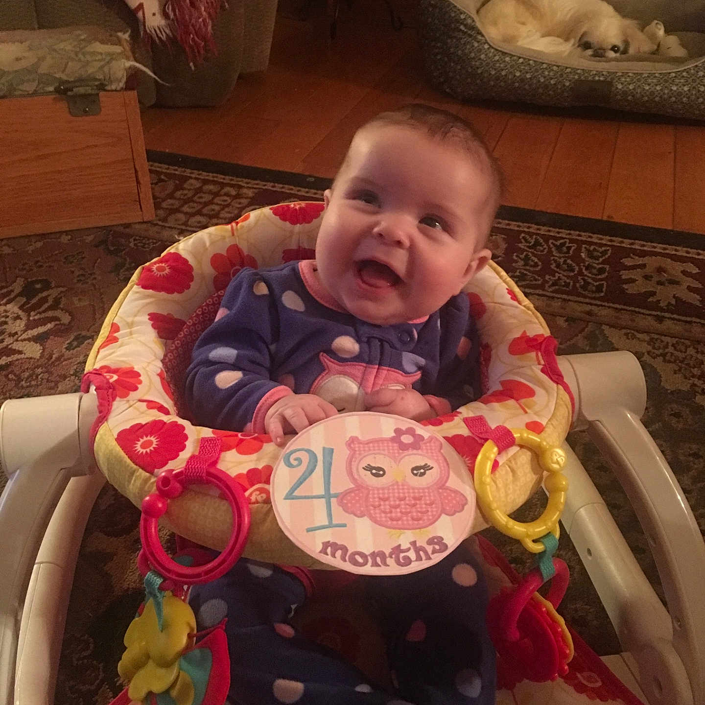 Isabella is registered to the contest to win money with this photo: child, infant, pink, product, skin, toddler, toy
