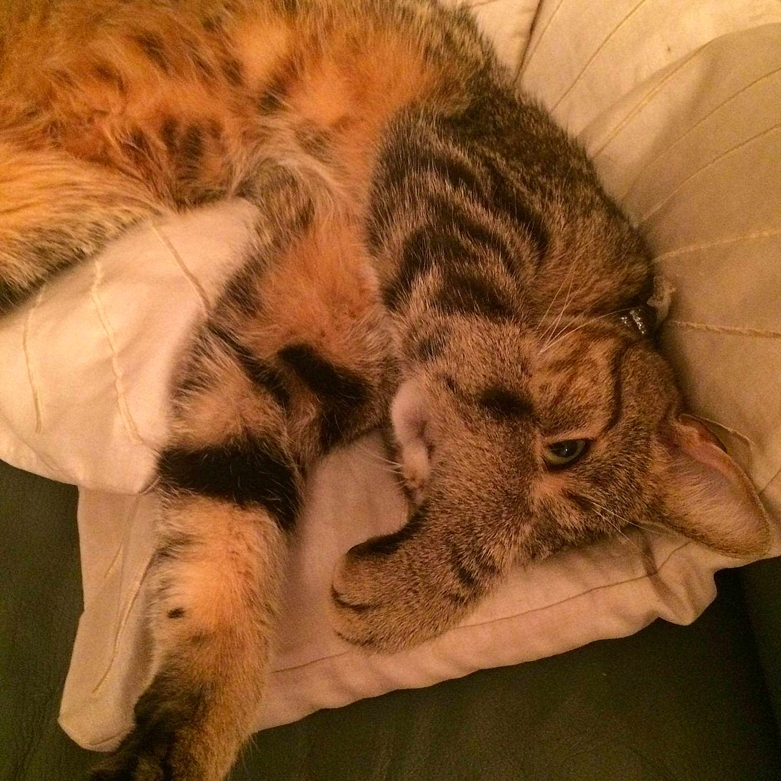 Charlie