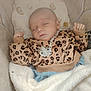 baby, blanket, child, clothing, comfort, cozy, cute, cute_outfit, face, hands, indoors, infant, leopard_print, pacifier, peaceful, pillow, resting, sleeping, soft, toddler