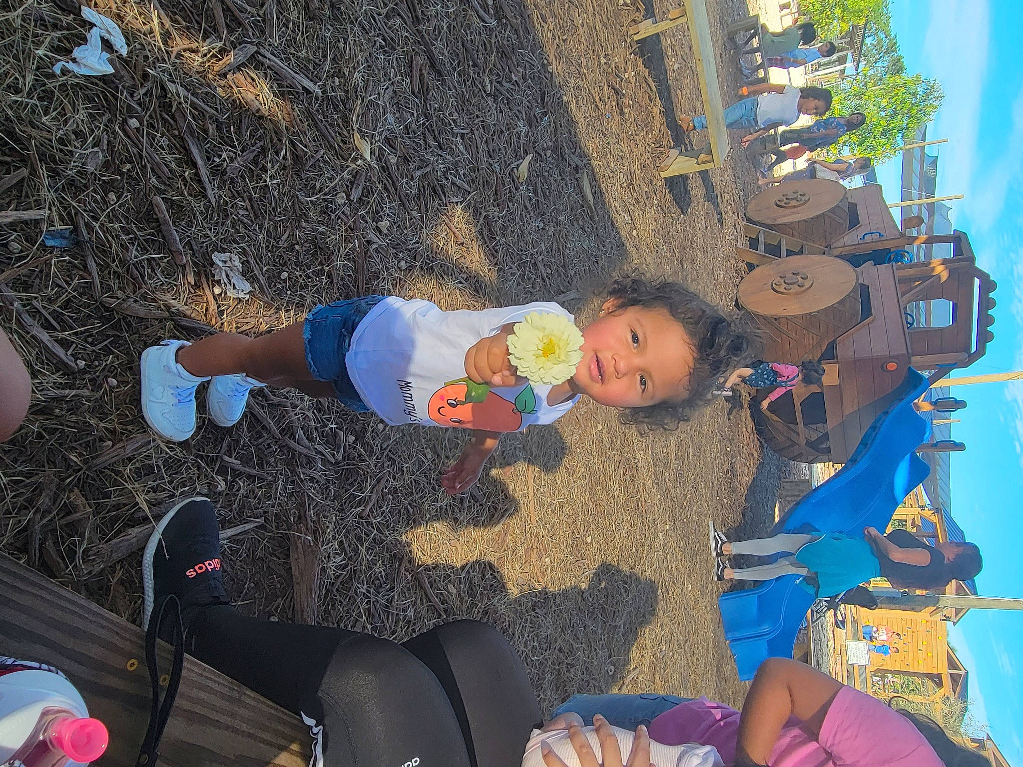 Melanie is registered to the contest to win money with this photo: baby, baby_products, child, city, electric_blue, fun, landscape, leisure, person, play, public_space, recreation, shadow, sitting, soil, toddler, travel, tree