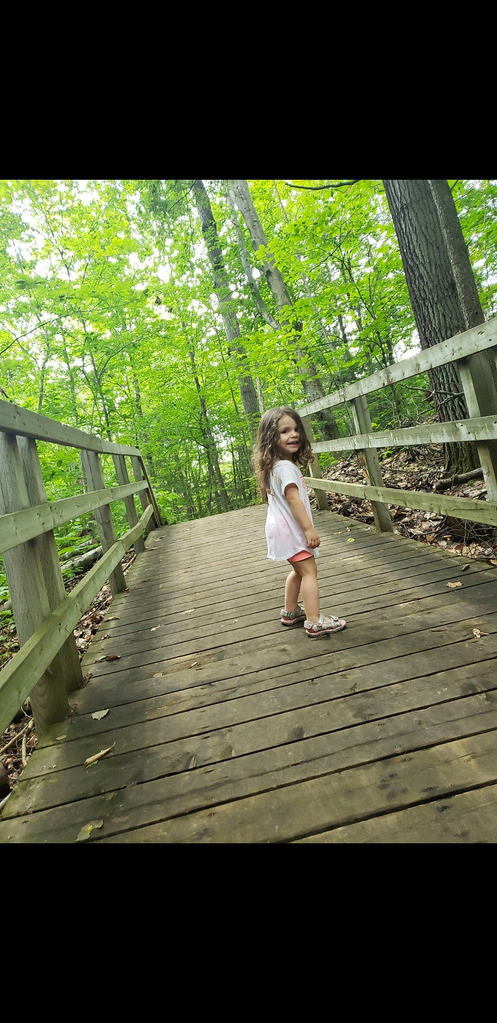 Krystal participe au concours pour gagner de l'argent avec cette photo : beauty, boardwalk, bridge, fence, foot, forest, joy, jungle, log_bridge, long_hair, old_growth_forest, people_in_nature, person, photograph, snapshot, split_rail_fence, spring, trunk, valdivian_temperate_rain_forest, walkway