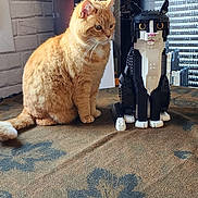 Chouquette a rejoint le concours — aidez-le/la à gagner de superbes lots ! cat, lego, lego_cat, orange_cat, tablecloth, pattern, indoor, brick_wall, box, toy, pet, feline, sitting, decor, background, closeup, animal, model, creative, room