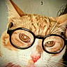 cat, orange_cat, white_cat, glasses, eyeglasses, close_up, portrait, face, eyes, wide_eyes, whiskers, pink_nose, feline, pet, indoors, animal, funny, comical, fluffy, looking_at_camera