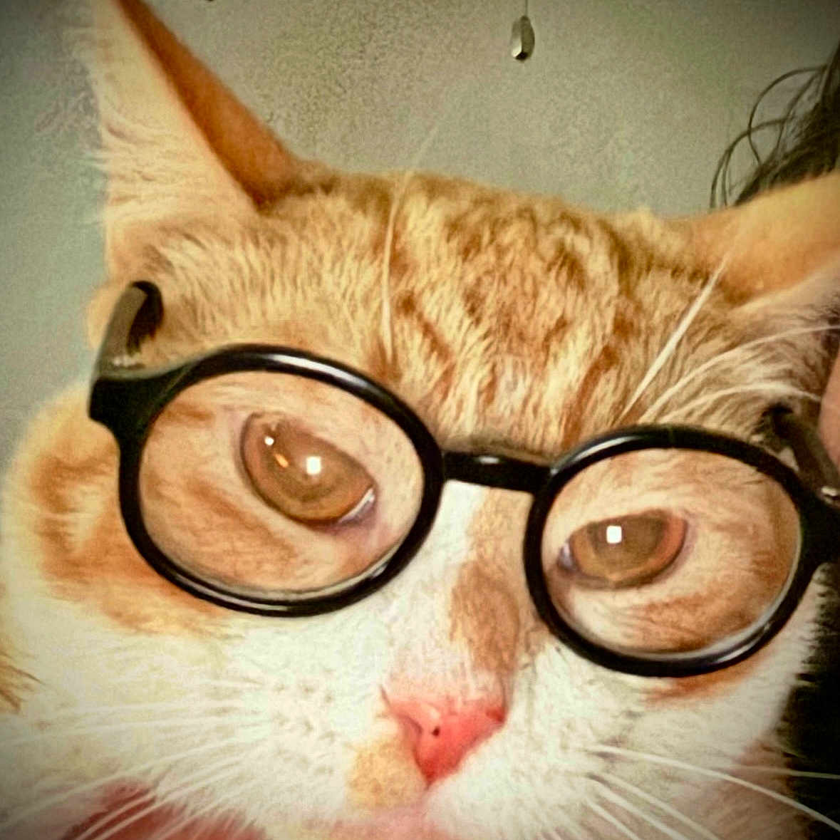 Sebastian