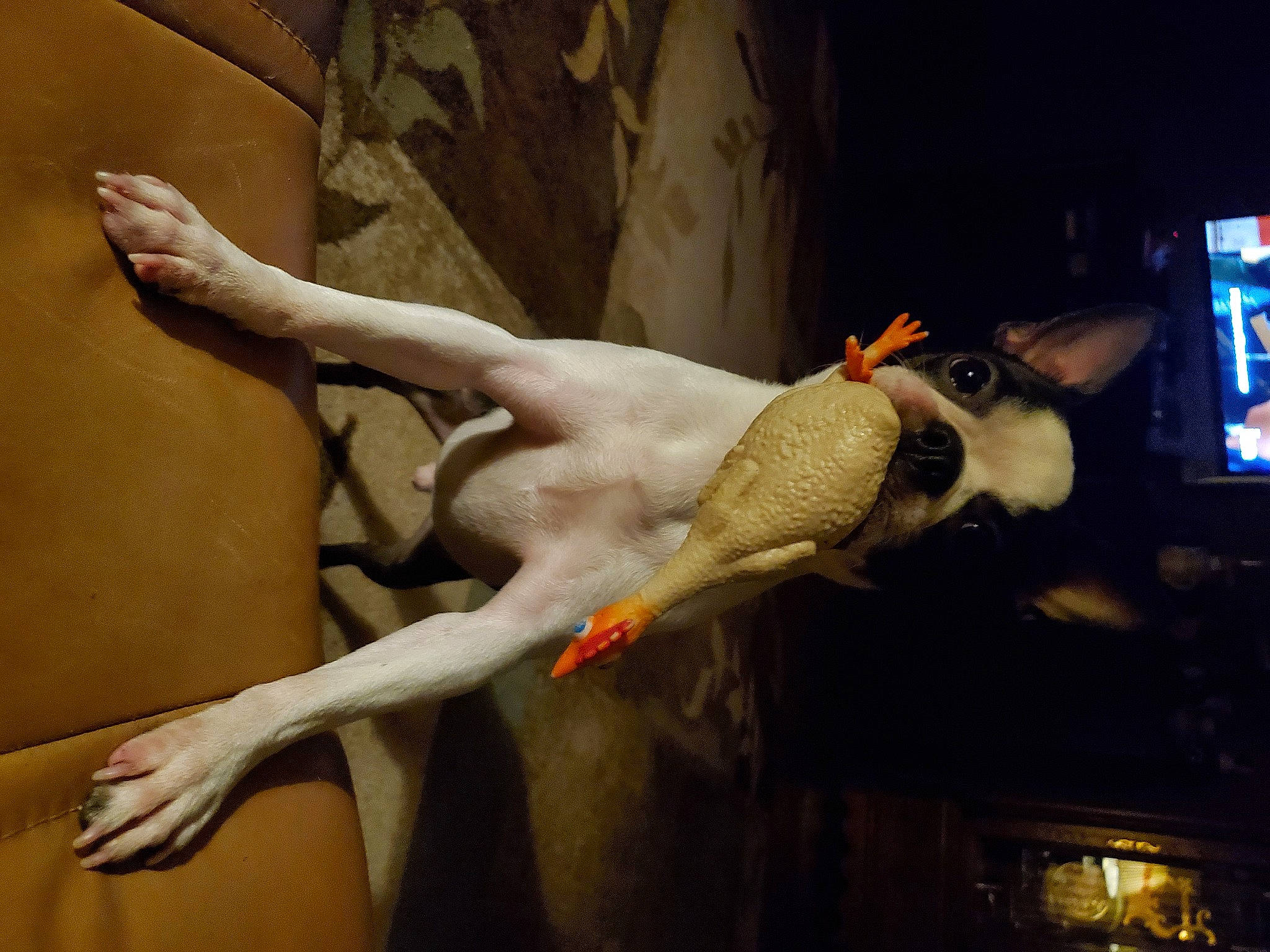 Stanley is registered to the contest to win money with this photo: art, display_device, entertainment, event, fictional_character, human_leg, machine, performing_arts, religious_item, room, sculpture, statue, television, tourist_attraction, tree, visual_arts, wing