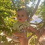 Logan is registered to the contest to win money with this photo: child, toddler, tree, leaves, green_shirt, disney_characters, outdoor, sunlight, nature, branches, baby, person, cute, summer, daylight, skin, face, expression, sitting, playful