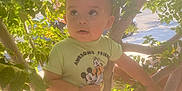 Logan is registered to the contest to win money with this photo: child, toddler, tree, leaves, sunlight, outdoor, nature, greenery, shirt, mickey_mouse, person, cute, baby, branch, daylight, curious, young_child, sitting, looking_up, casual