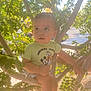 child, toddler, tree, leaves, sunlight, outdoor, nature, greenery, shirt, mickey_mouse, person, cute, baby, branch, daylight, curious, young_child, sitting, looking_up, casual