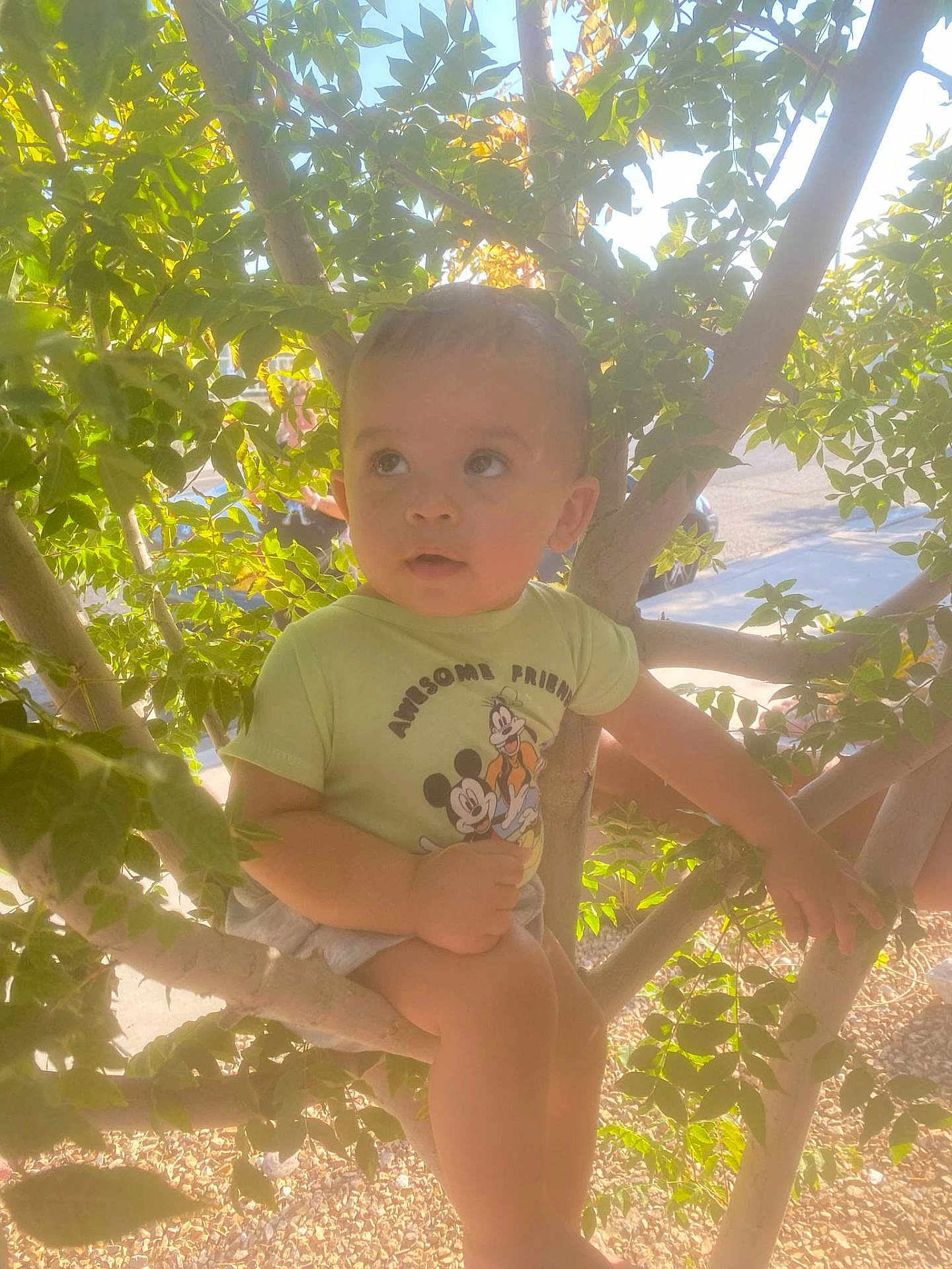 Logan