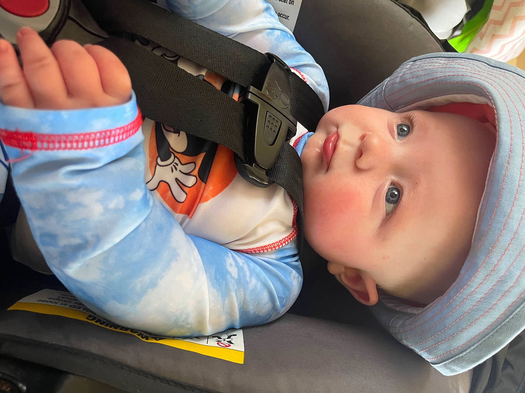 Anthony is registered to the contest to win money with this photo: baby, baby_carriage, comfort, elbow, finger, fun, gesture, glove, hand, headwear, health_care, human_body, knee, medical_glove, mouth, nail, person, personal_protective_equipment, skin, sports_gear