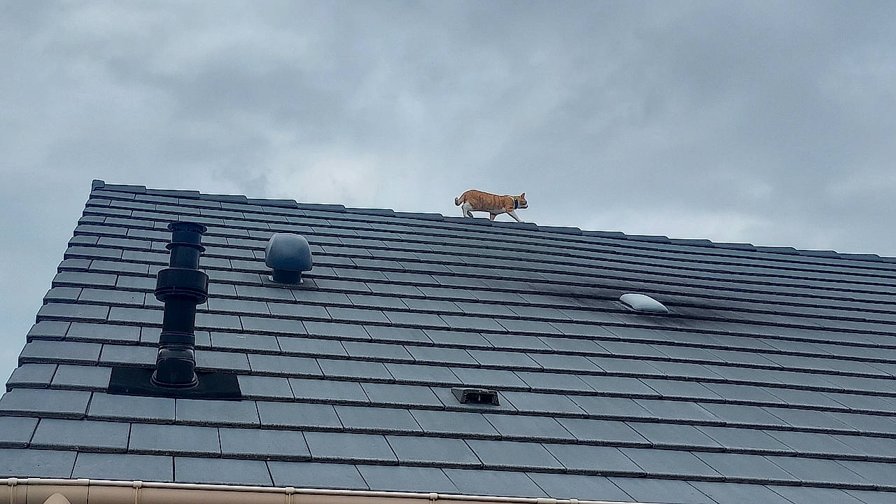 Spirou participe au concours pour gagner de l'argent avec cette photo : art, brick, brickwork, building, cloud, composite_material, daylighting, facade, house, metal, roof, sculpture, siding, sky, statue, symmetry, wood