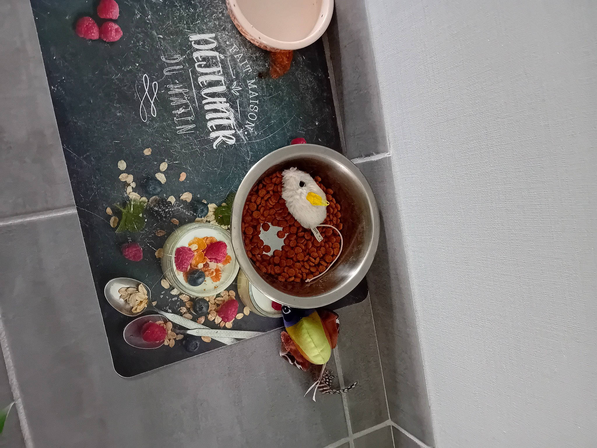 Spirou participe au concours pour gagner de l'argent avec cette photo : a_la_carte_food, book, bowl, comfort_food, cooking, cookware_and_bakeware, cuisine, dessert, dish, fast_food, food, gas, ingredient, kitchen_utensil, recipe, tableware