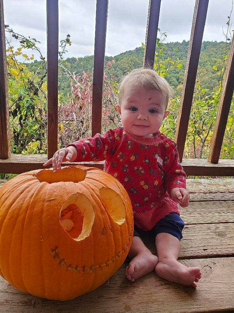 Kelsey joined the competition — help win amazing prizes! baby_toddler_clothing, calabaza, cucurbita, eye, face, facial_expression, gourd, happy, leaf, mammal, orange, person, plant, pumpkin, sky, smile, squash, toddler, tree, window