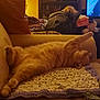 cat, orange_cat, tabby, couch, blanket, crochet, indoor, living_room, relaxed, sleeping, pet, feline, cozy, furniture, home, animal, resting, warm_lighting, television, pillow
