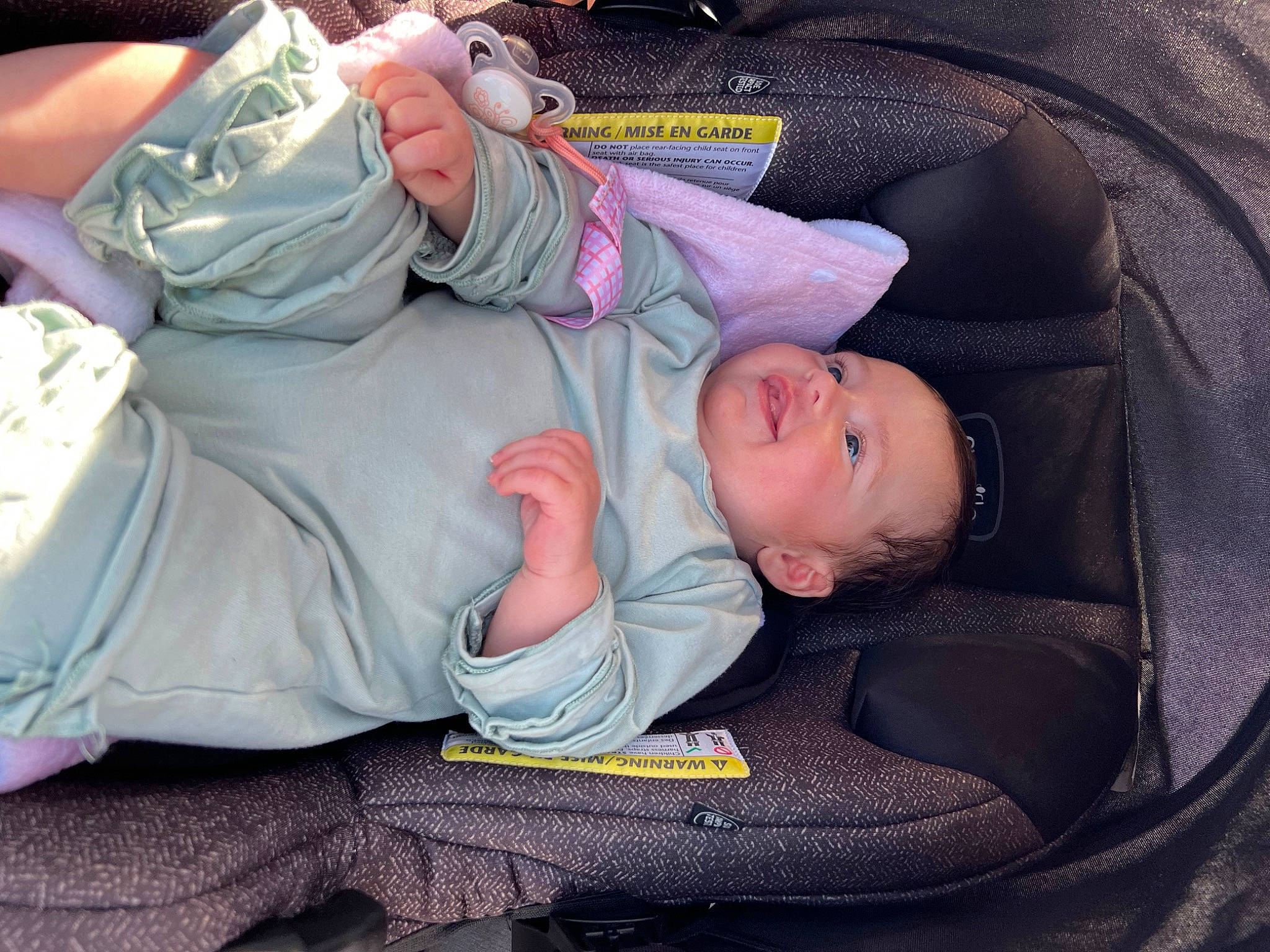Eloise is registered to the contest to win money with this photo: baby, baby_carriage, baby_products, baby_toddler_clothing, car_seat, child, comfort, grass, lap, mammal, nap, person, plant, sitting, sleep, toddler, tree, vertebrate