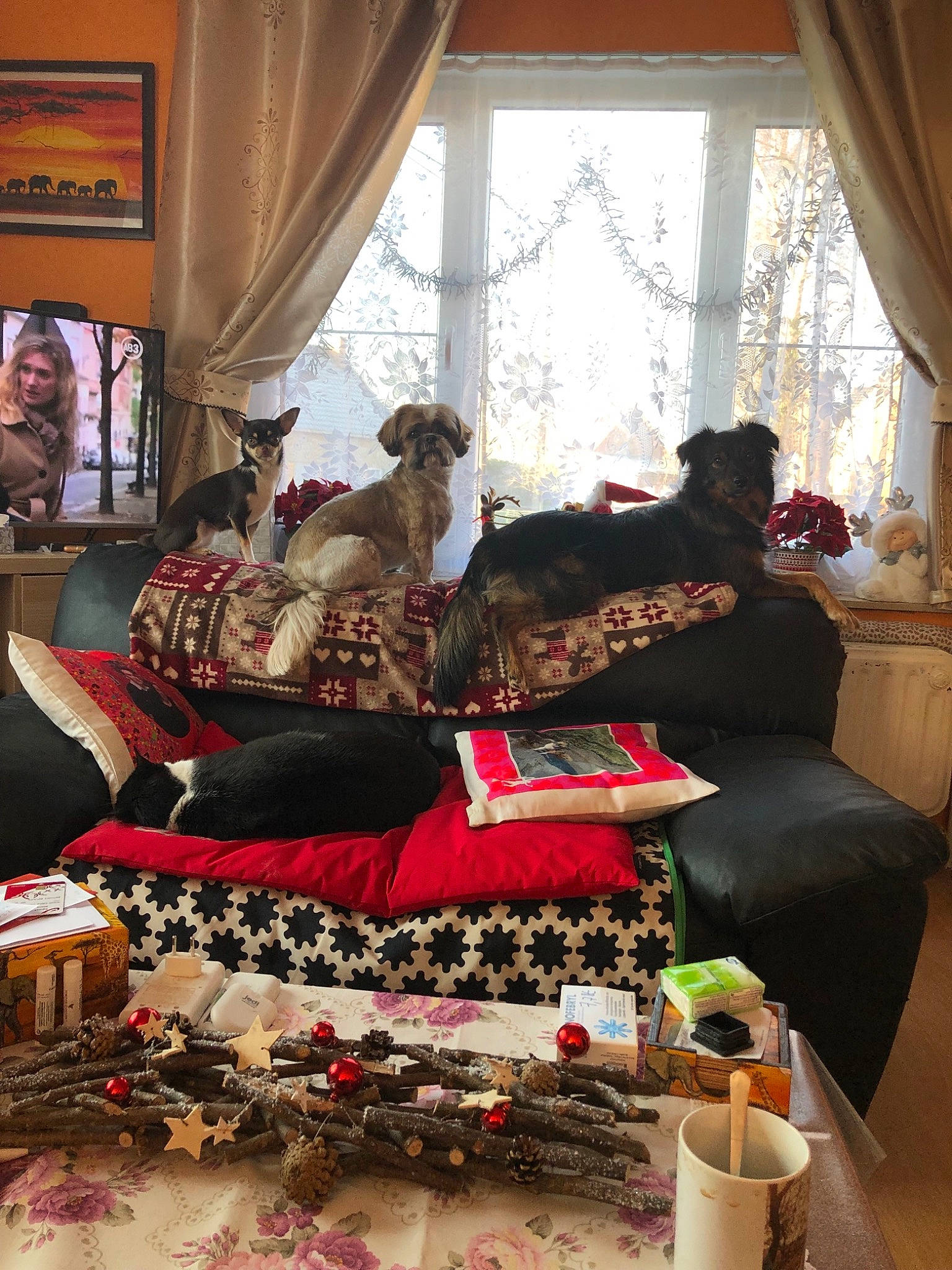 Vanille participe au concours pour gagner de l'argent avec cette photo : couch, cushion, furniture, home, interior_design, living_room, person, room, slipcover