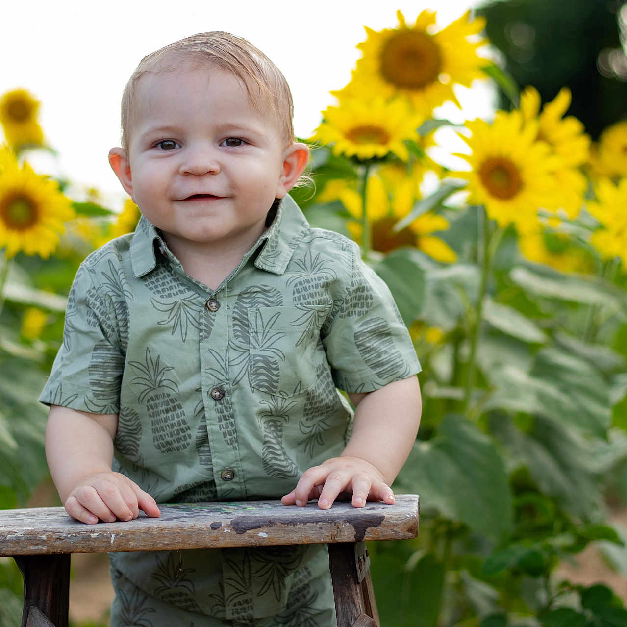 Charles joined the competition — help win amazing prizes! boy, bright, child, cute, daylight, flower_field, garden, green_shirt, happy, nature, outdoor, plant, portrait, smile, summer, sunflower, sunny, toddler, wooden_stool, young_child