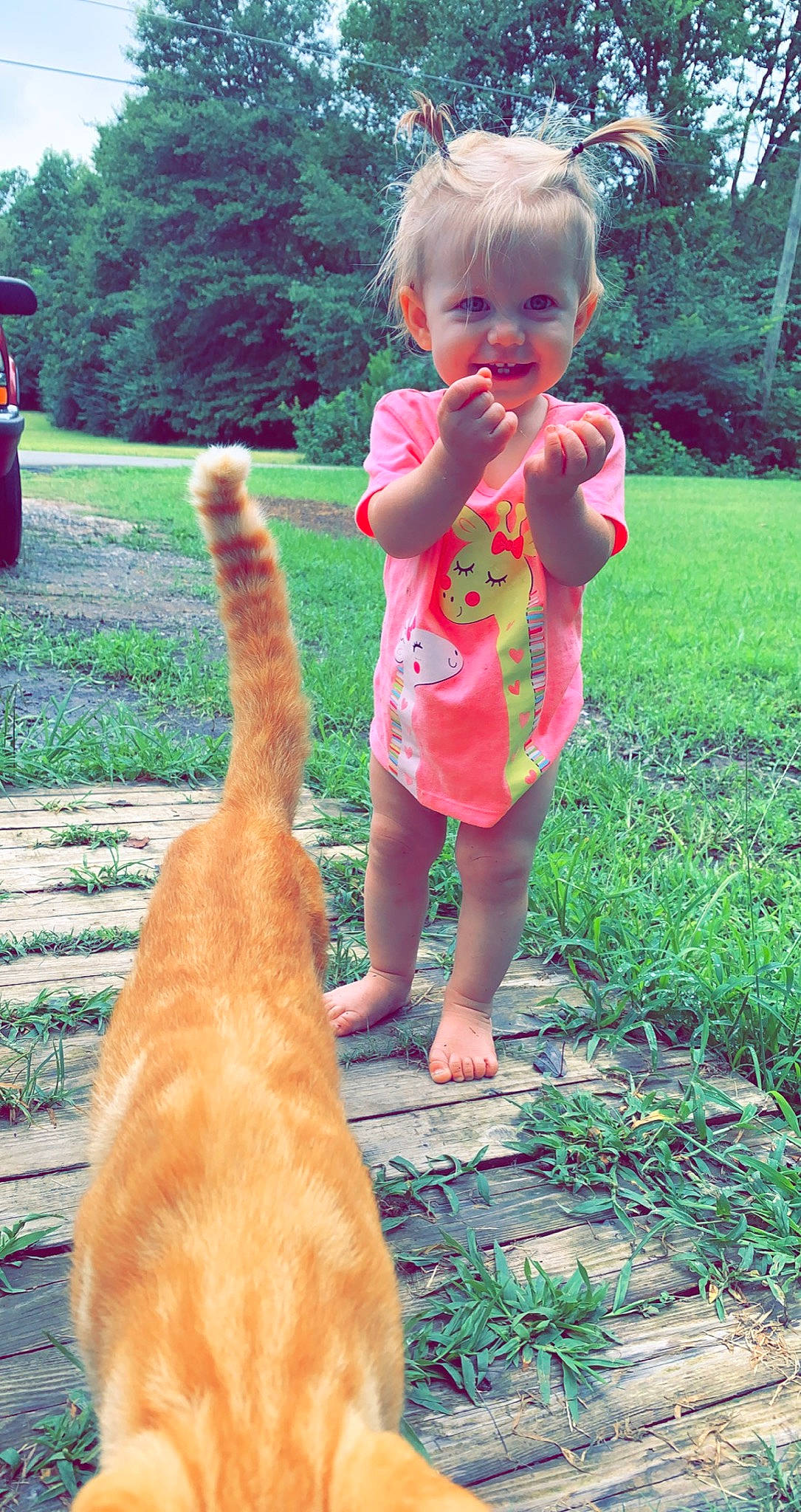 Ayvah joined the competition — help win amazing prizes! baby, baby_toddler_clothing, carnivore, companion_dog, dog, dog_breed, dress, eye, fun, grass, grass_family, green, happy, joy, liver, people_in_nature, person, pink, plant, summer