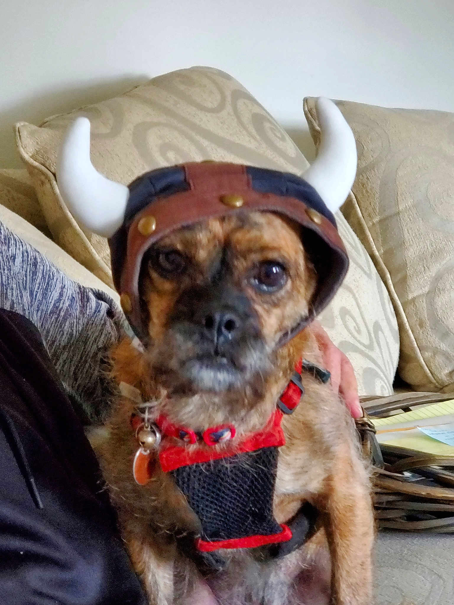 Myla