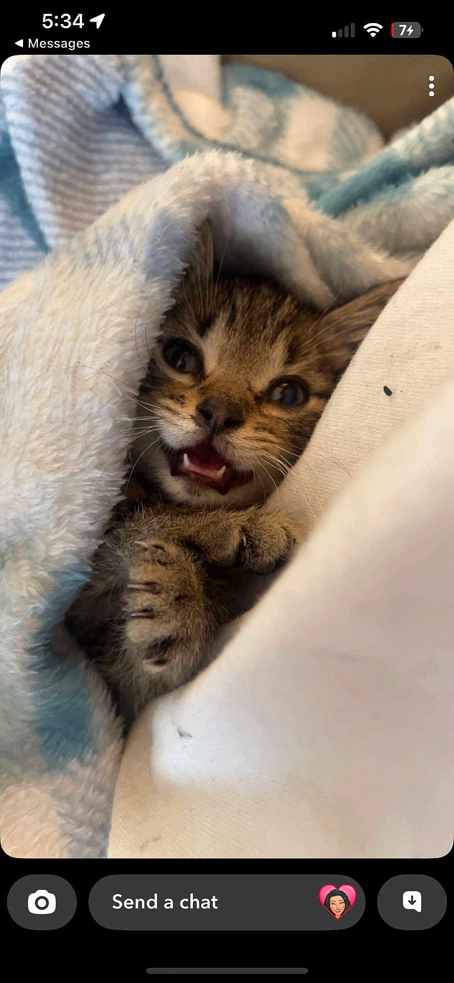 Jack joined the competition — help win amazing prizes! kitten, cat, tabby, paw, blanket, cozy, fur, cute, pet, animal, indoor, closeup, sleepy, soft, whiskers, face, mouth, claws, resting, cute_animal
